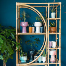 Load image into Gallery viewer, Kaya 3-Piece Ceramic Planter by Justina Blakeney®