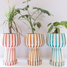 Load image into Gallery viewer, Kaya 3-Piece Ceramic Planter by Justina Blakeney®