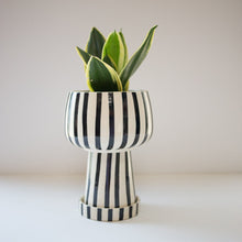 Load image into Gallery viewer, Kaya 3-Piece Ceramic Planter by Justina Blakeney®