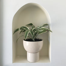Load image into Gallery viewer, Kaya 2-Piece Ceramic Bowl Planter by Justina Blakeney®
